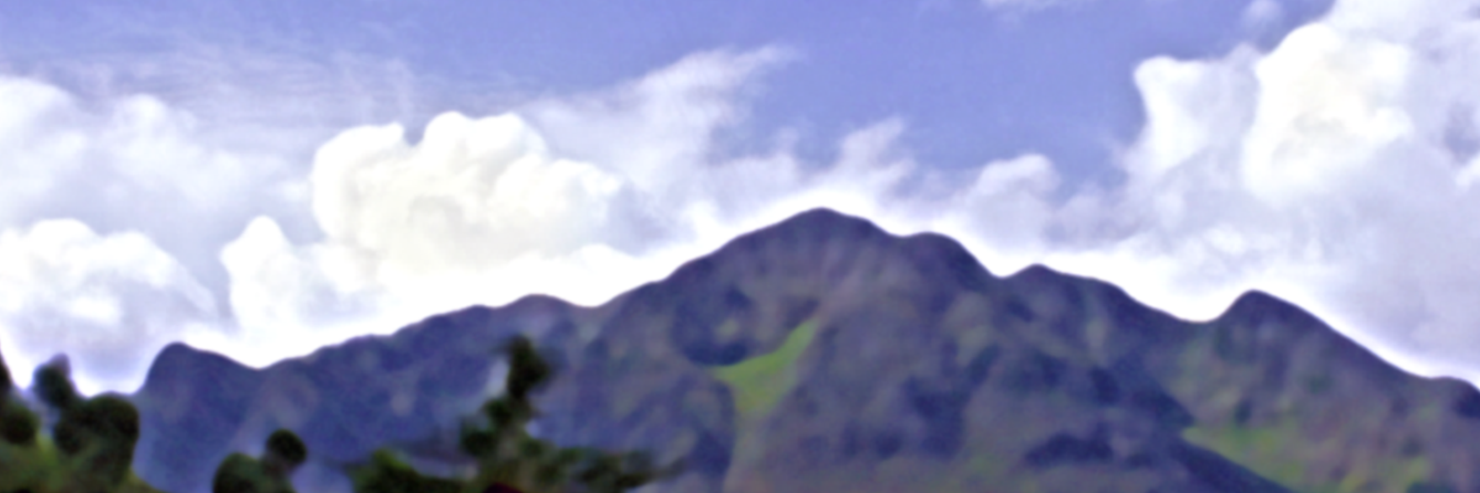 discovermeraki's profile banner image