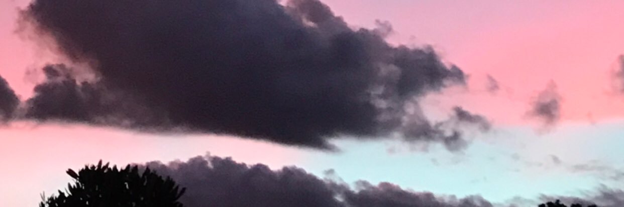 neppzone's profile banner image