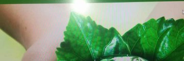 BerriosCo's profile banner image