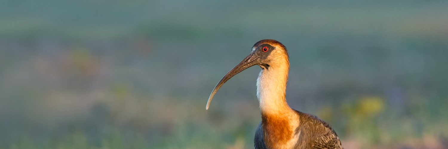 LGonzalezJ95's profile banner image