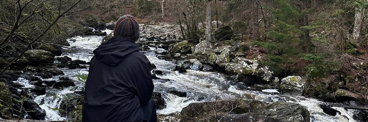 King Sloth 👑🦥 banner