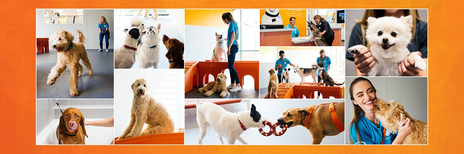 Dogtopia banner