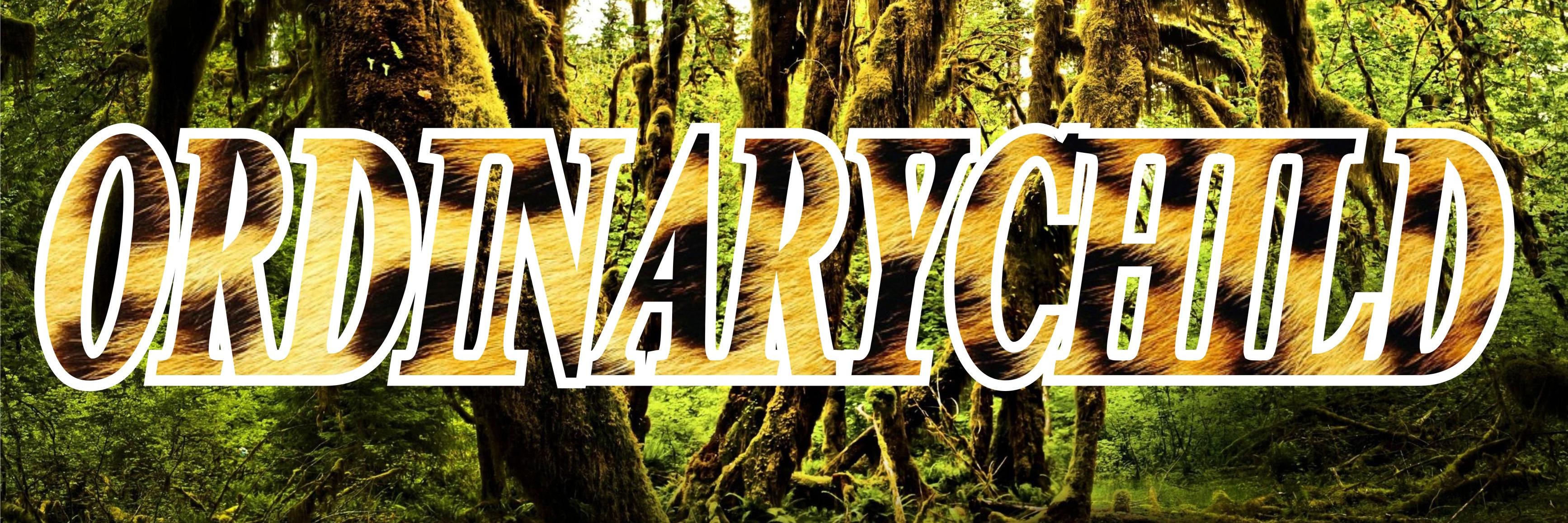 ordinaryChildCo's profile banner image