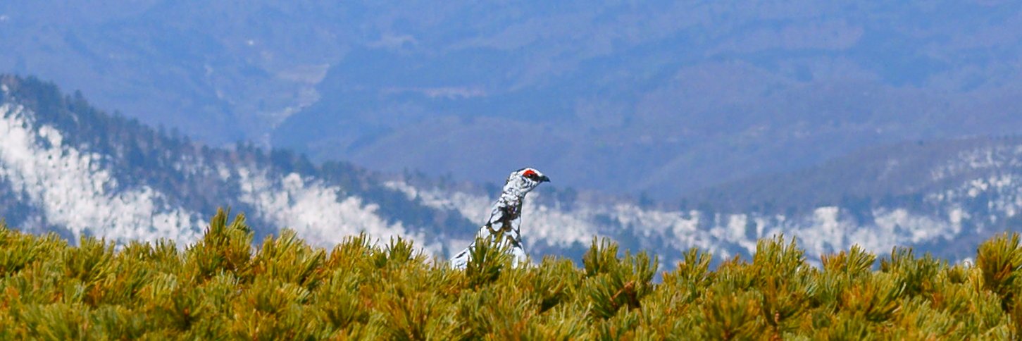 tukasa700's profile banner image