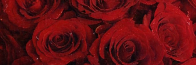 gaaaaabi_g's profile banner image