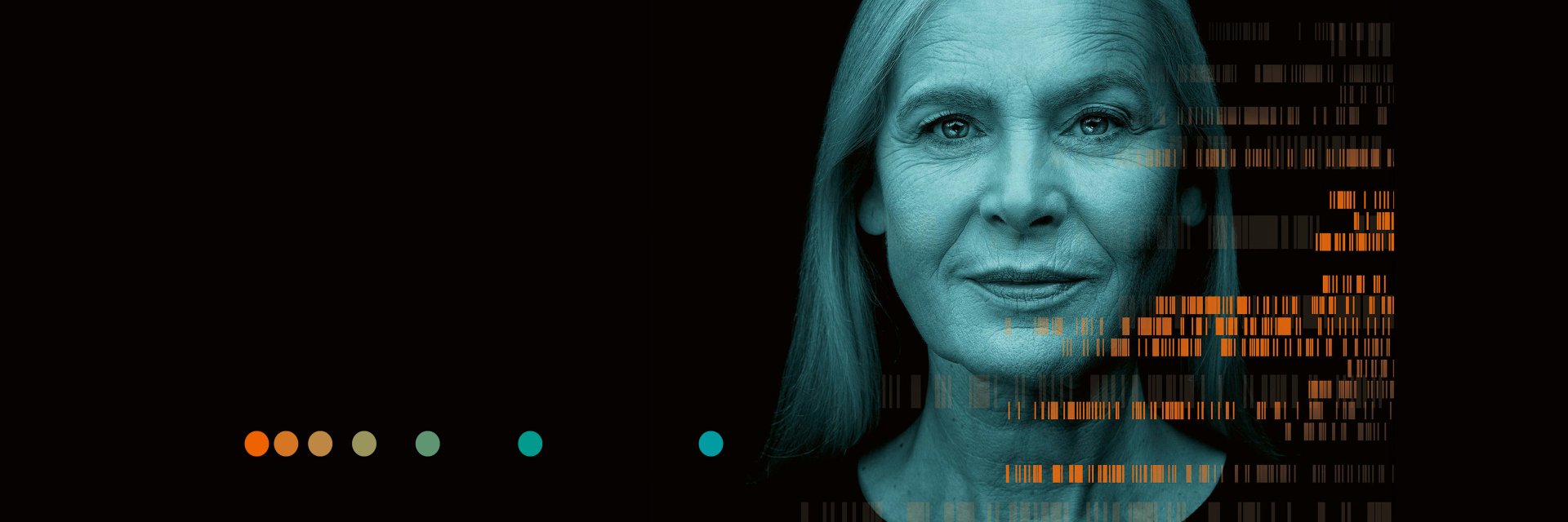 Peter Harrison banner