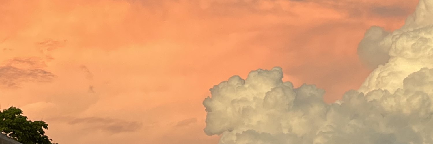 BrenoCasellatto's profile banner image