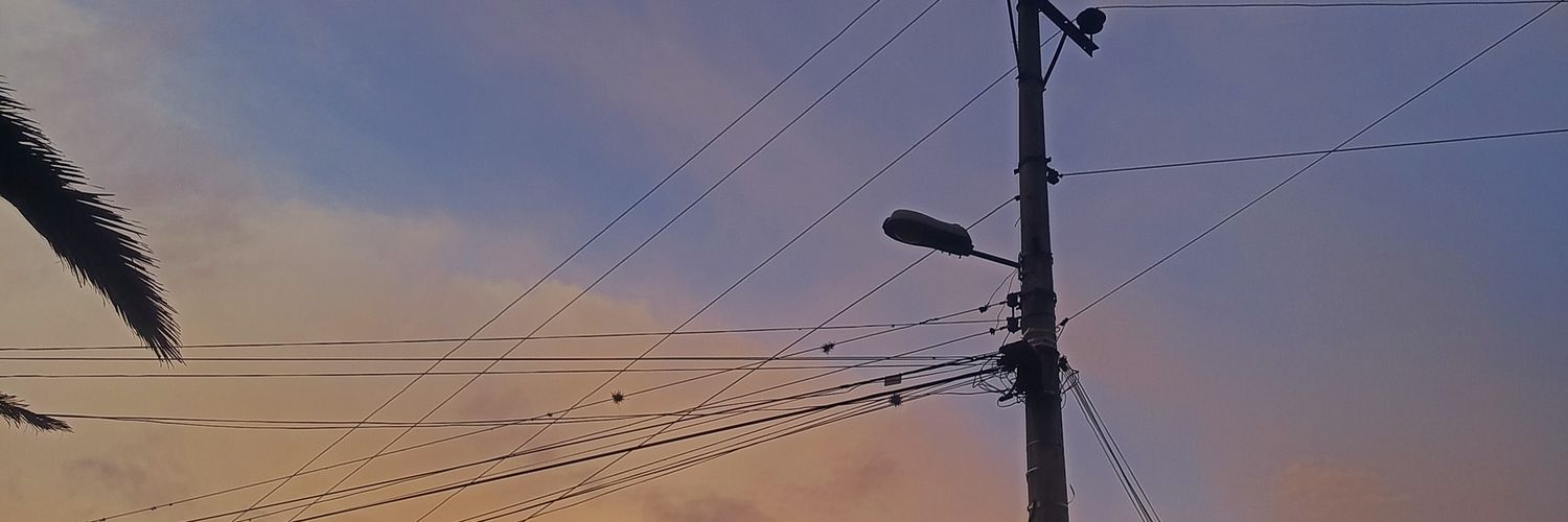 Polly banner