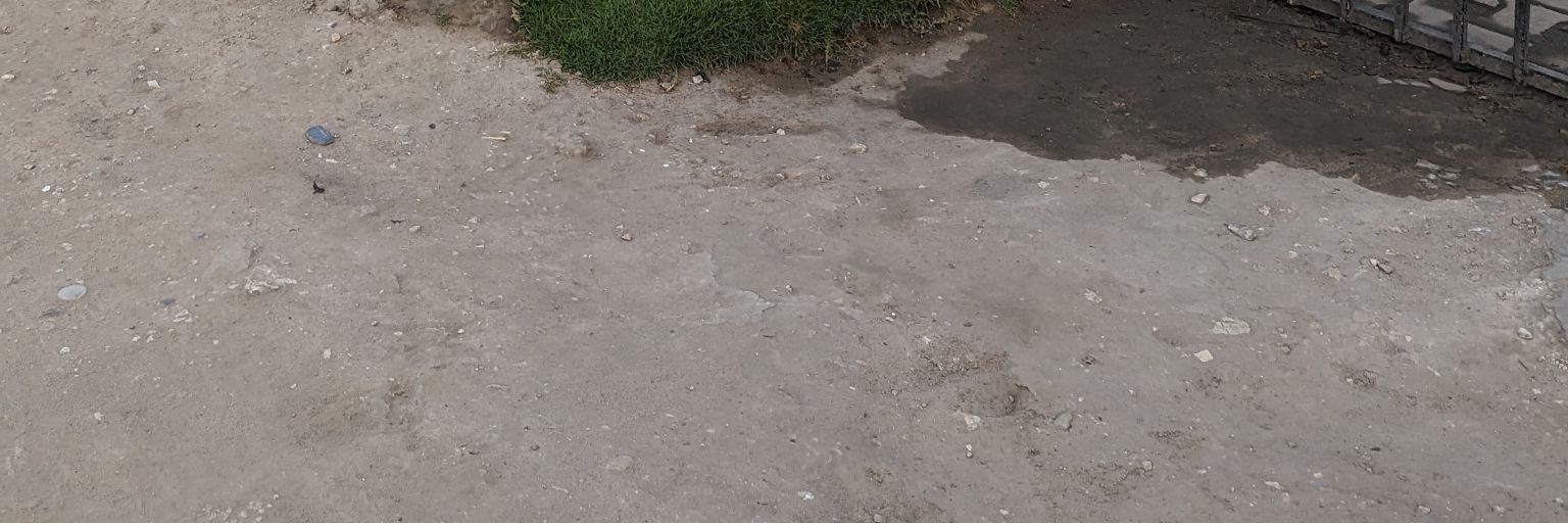 edgarmduda's profile banner image