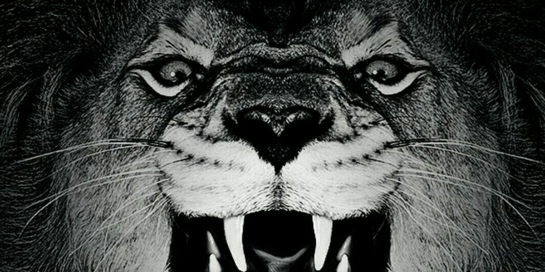 stephen_brady22's profile banner image