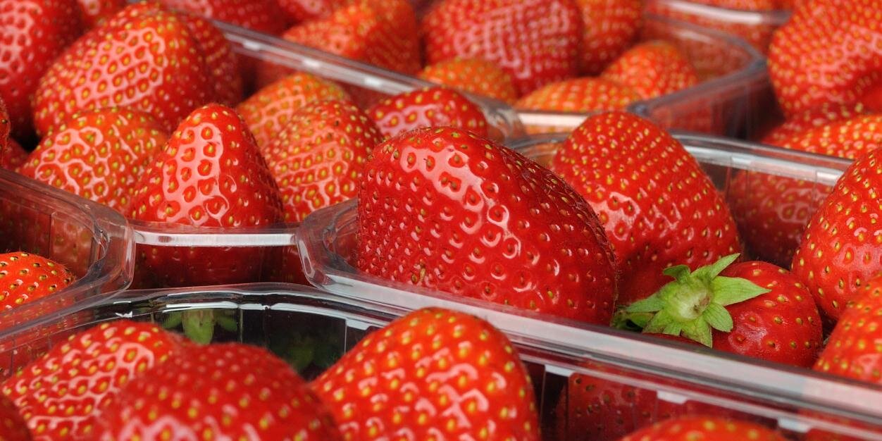 Berryplaza's profile banner image
