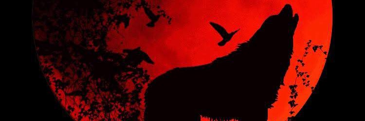 topwolvez75x's profile banner image