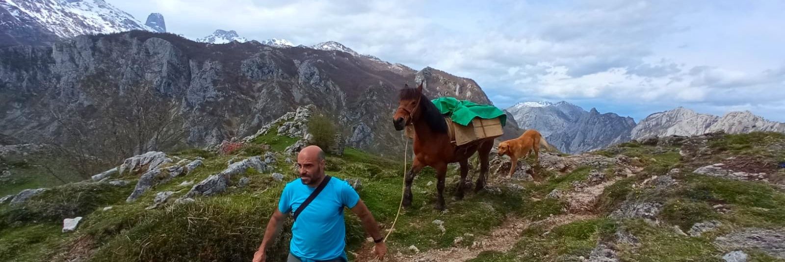 Quesería Main banner