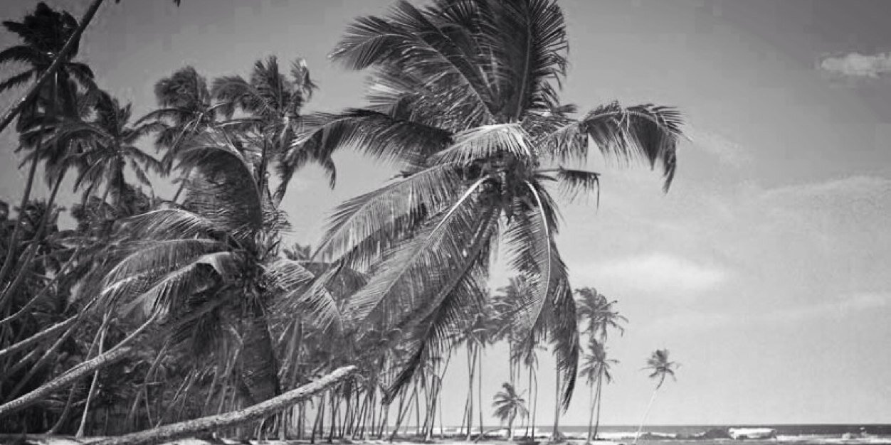nashpott's profile banner image
