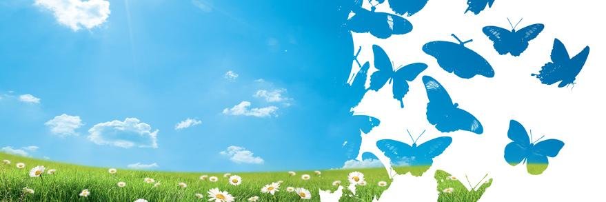 hollyleichavez's profile banner image