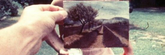 melisa banner