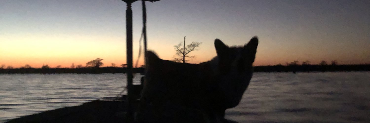 nighthawkbbc's profile banner image