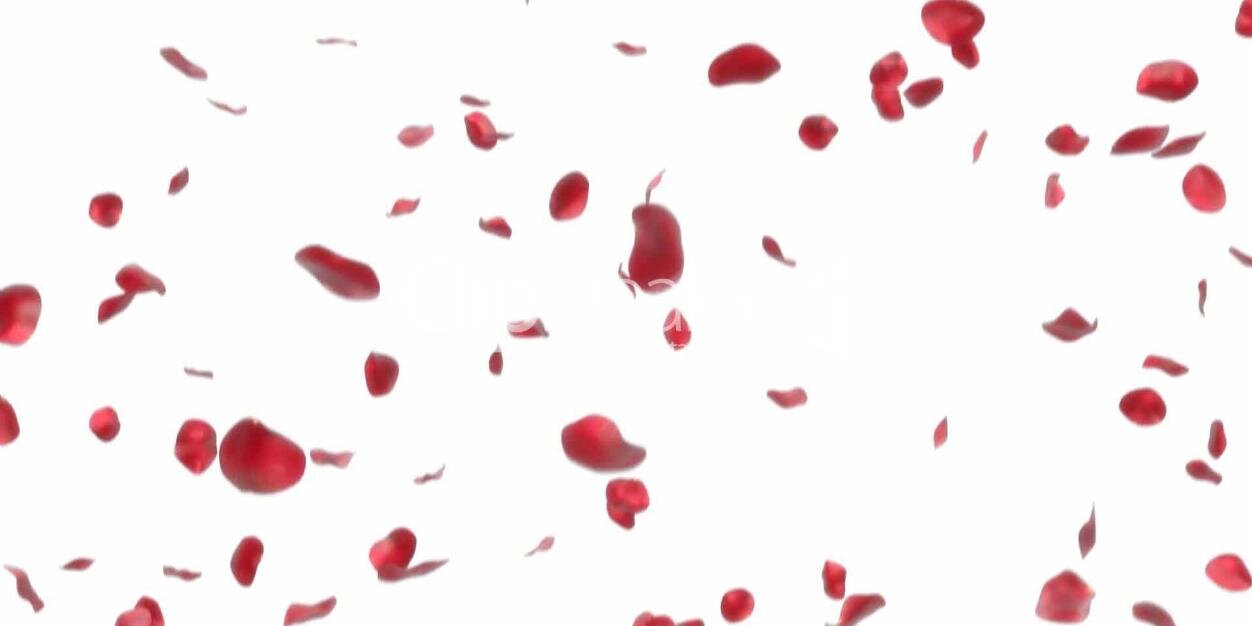 secretloversrp_'s profile banner image