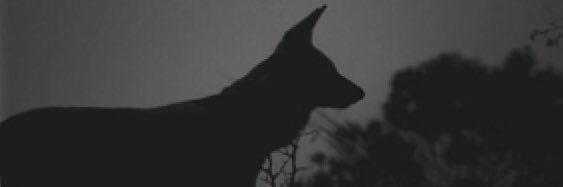 il5xli's profile banner image