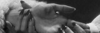 n_9299's profile banner image