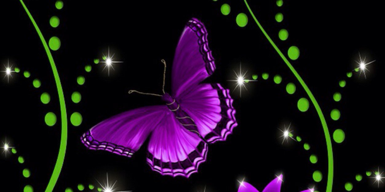 Kimberwadd's profile banner image
