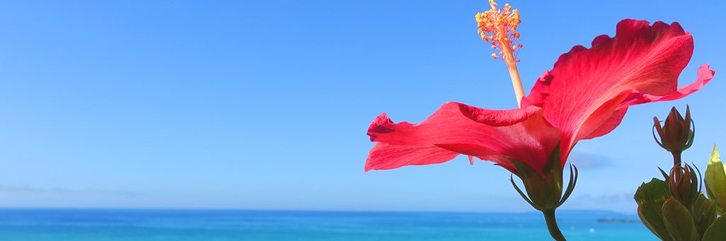 gakeppuchi1's profile banner image
