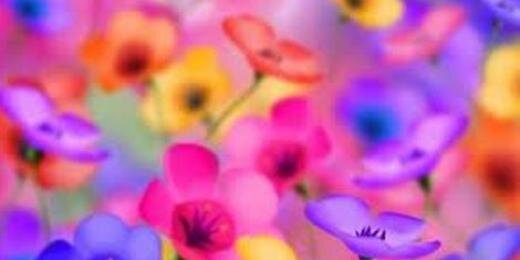 HappyB_shindan's profile banner image