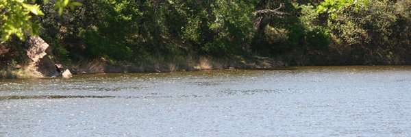 TCAFS Profile Banner