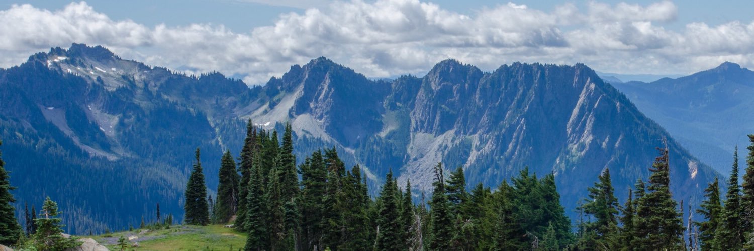 madileroyy's profile banner image