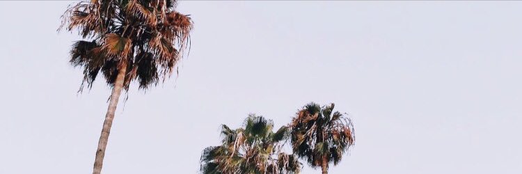 alisakosovsky's profile banner image
