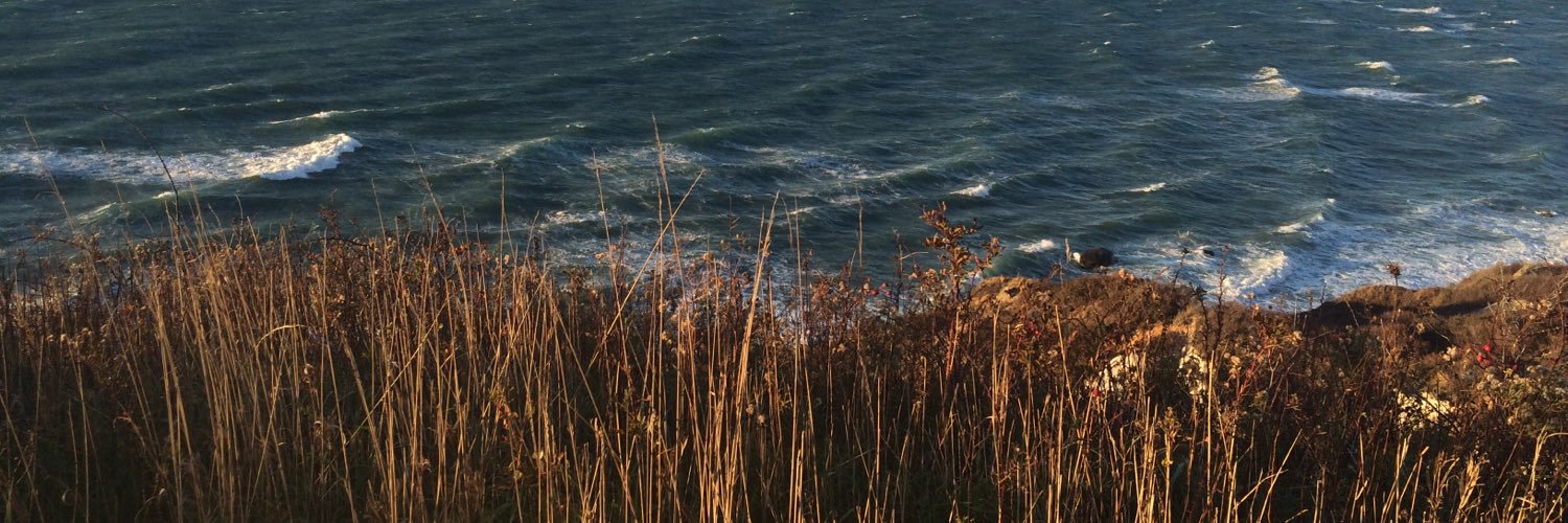 sttxx_'s profile banner image