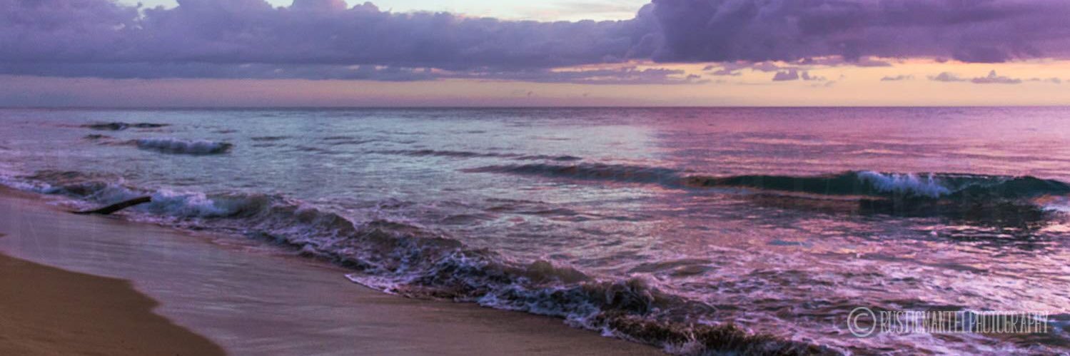 Caroline Signey banner