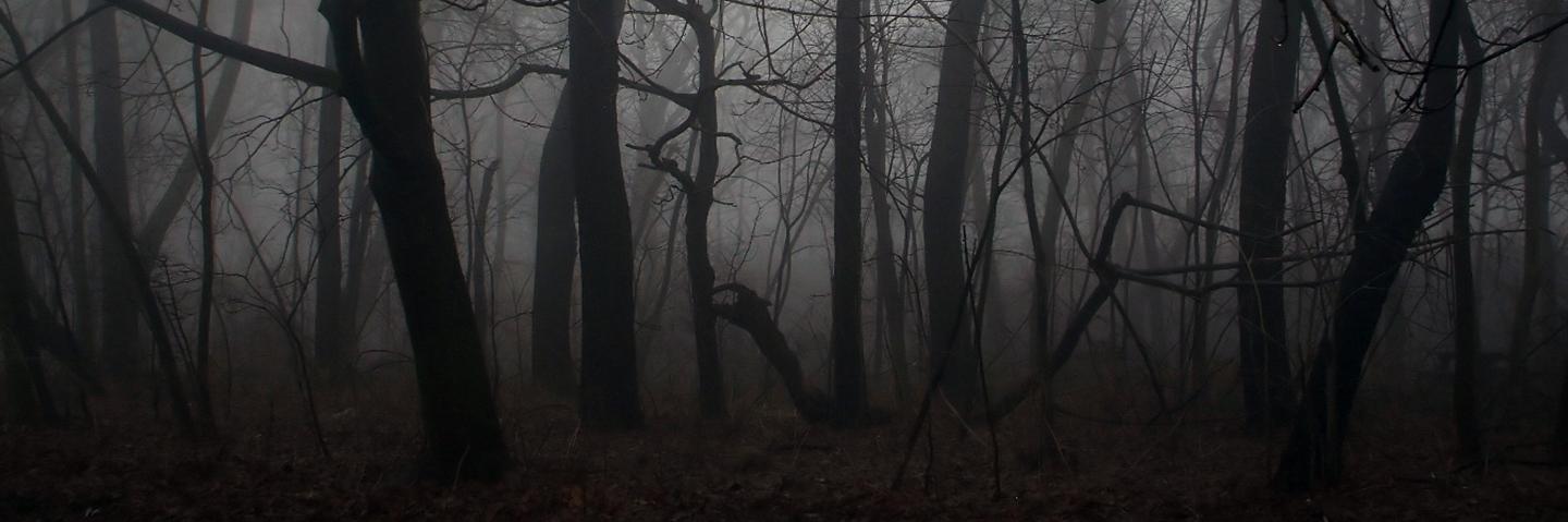 YellowOfTheBc's profile banner image