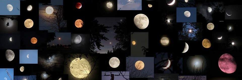 divitirim's profile banner image