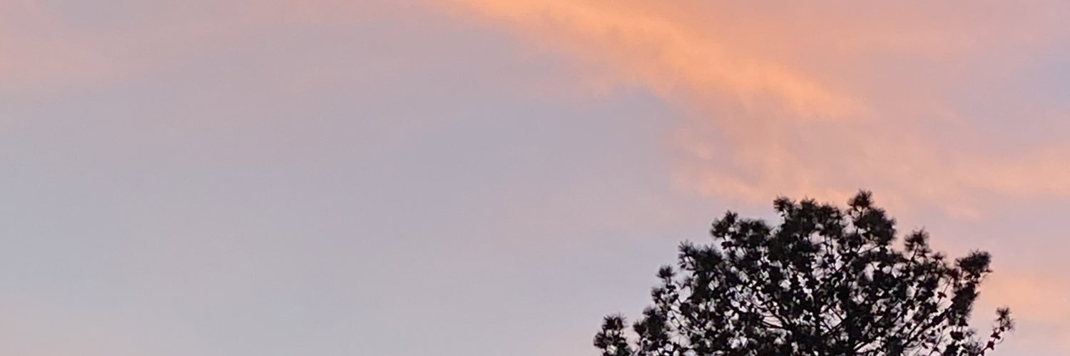 birthnotbea's profile banner image