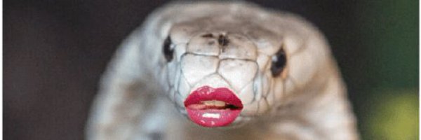 funBABE Profile Banner