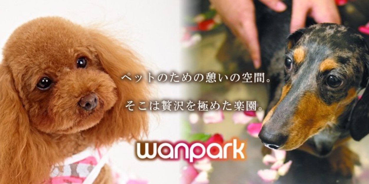 wanpark_189's profile banner image