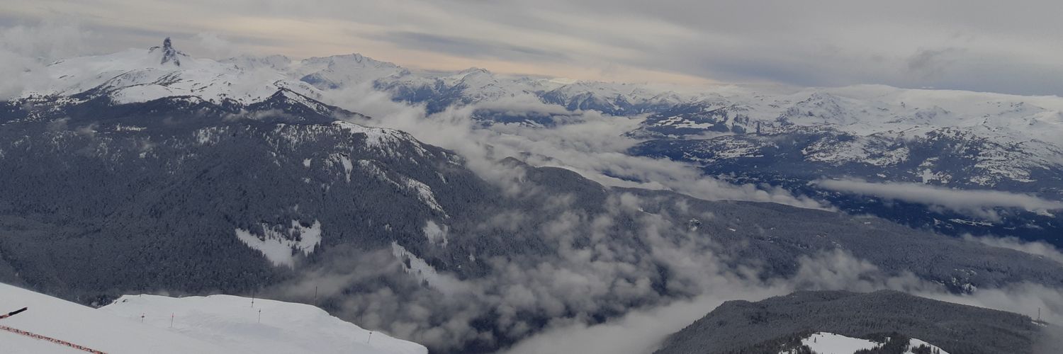 Michael Sweeney banner