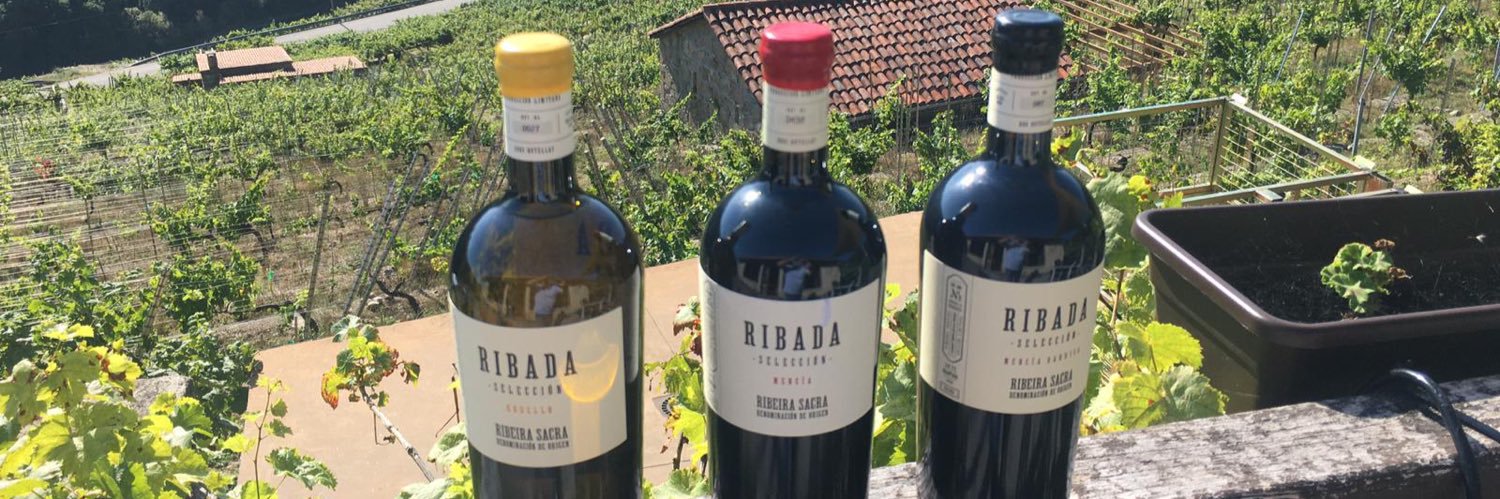 BodegaRibada's profile banner image