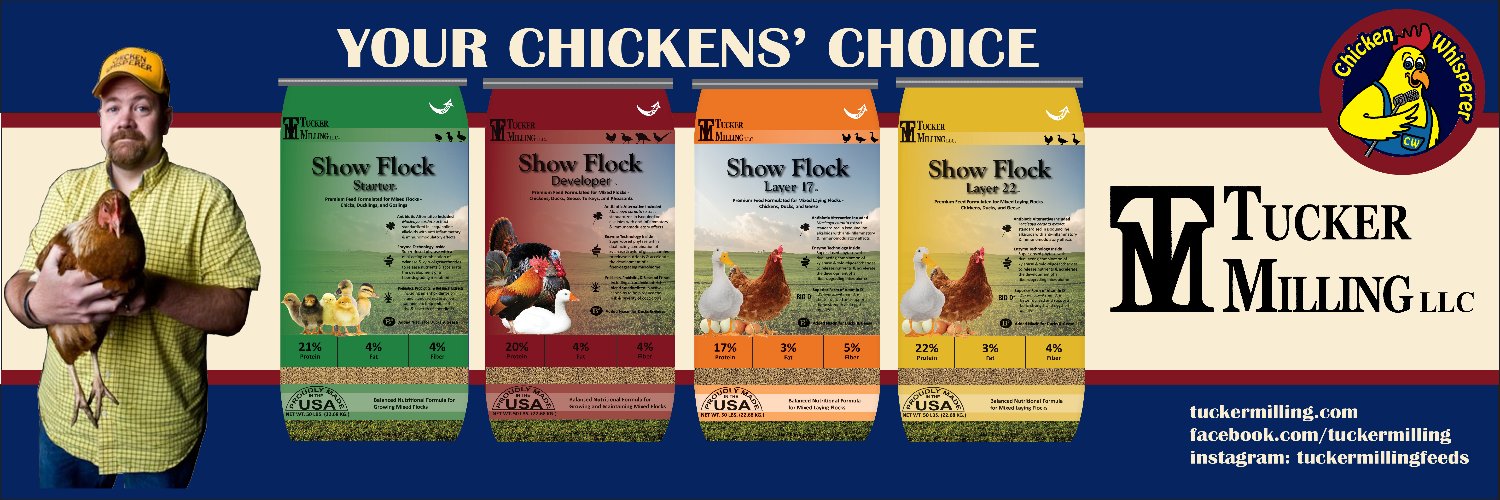 backyardpoultry's profile banner image