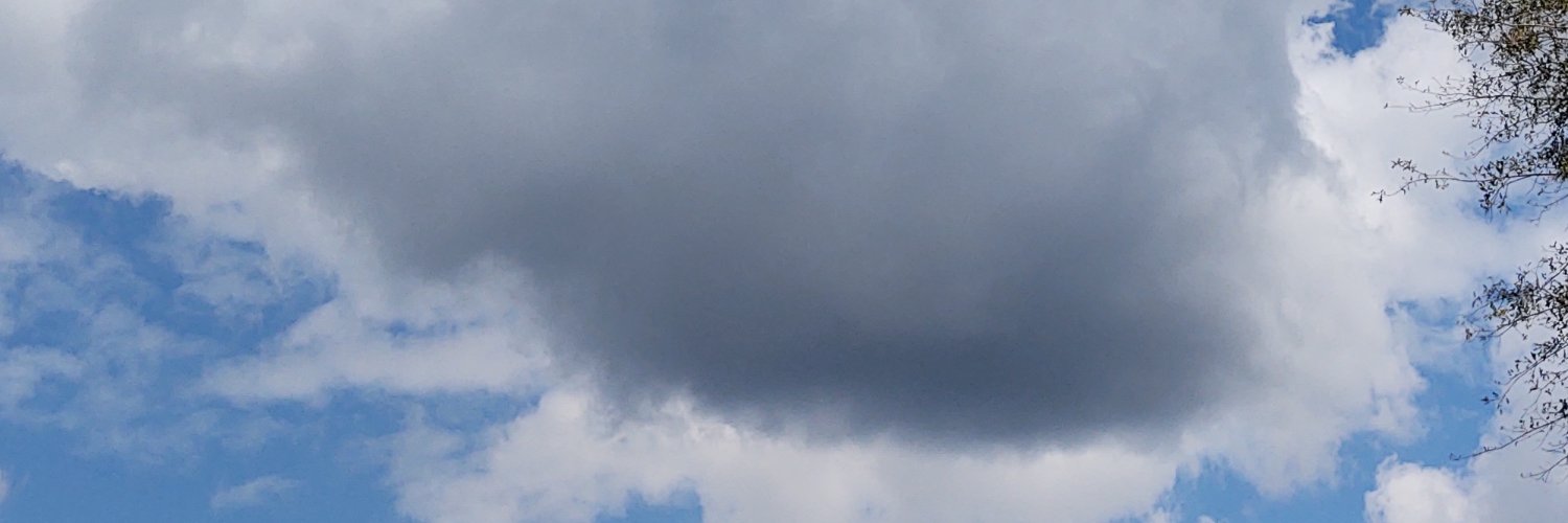 Rachel Walker banner