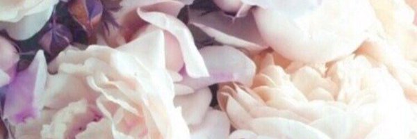 williamarruda_ Profile Banner