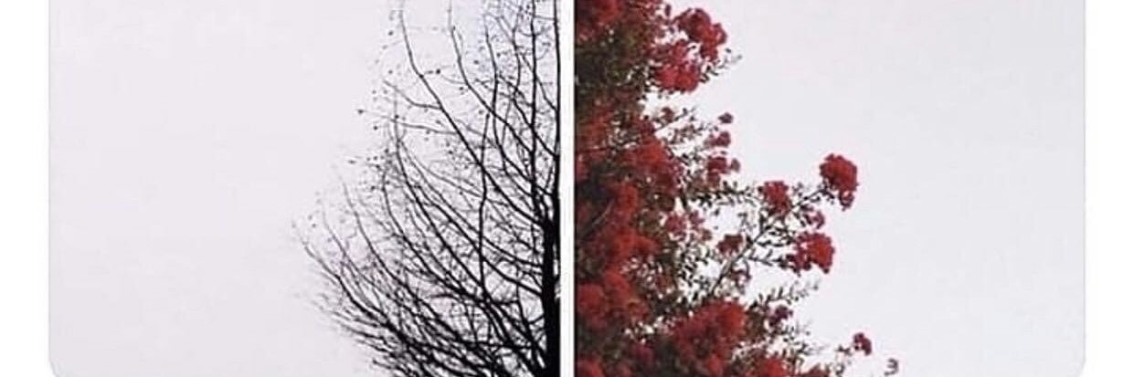 Levent 🇹🇷 banner