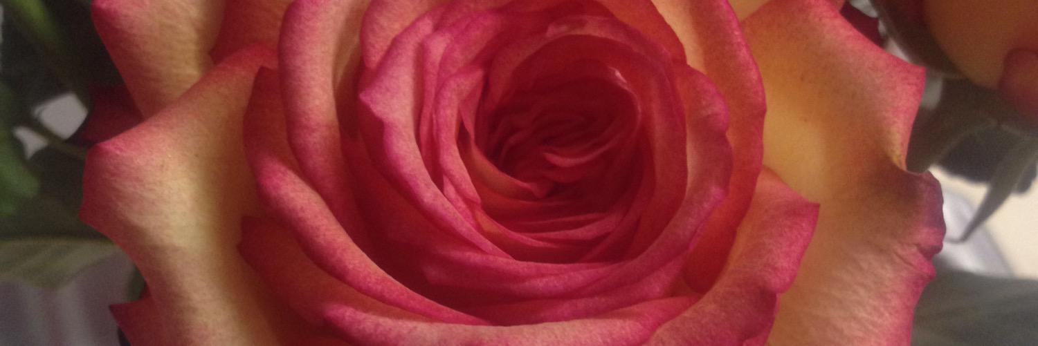1980Laysha's profile banner image