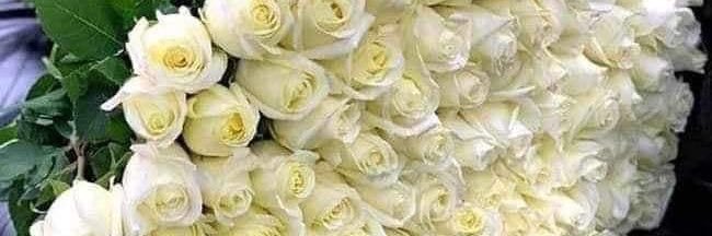 m0127328307's profile banner image