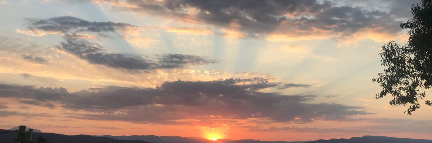 Africa Asensi banner