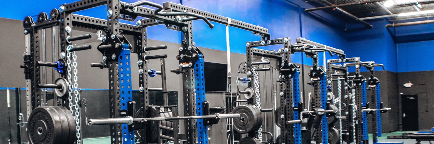 Pinnacle Performance ATL banner