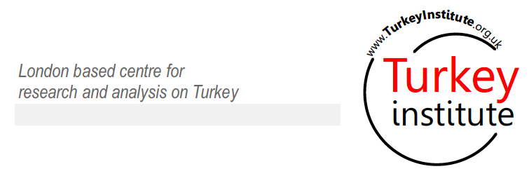 TurkeyInstitute's profile banner image