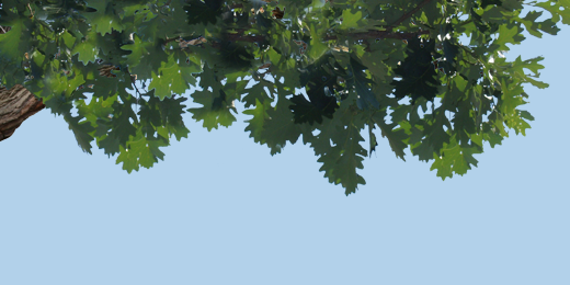 UW Integrative Med banner