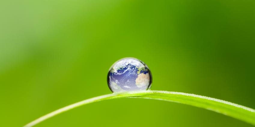 Marta Rodrigo banner